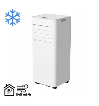 Climatiseur mobile professionnel réversible