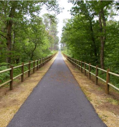 Clôture en rondins de bois