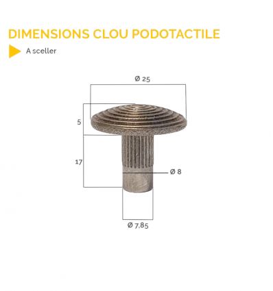 Clou Podotactile à Sceller ou Enfoncer