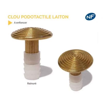 Clou Podotactile à Sceller ou Enfoncer
