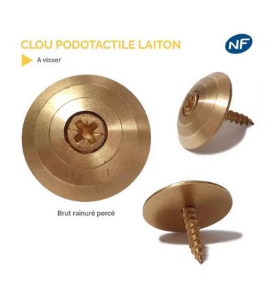 Clou Podotactile à Visser pour Support en Bois