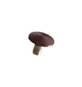 Clou Podotactile Corten