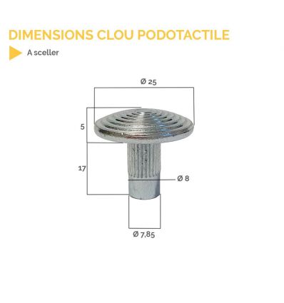 Clou Podotactile Inox 316 pour milieu marin