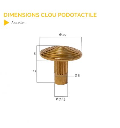 Clou Podotactile Laiton