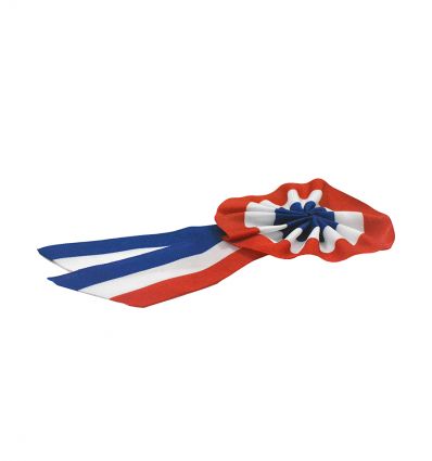 Cocarde tricolore