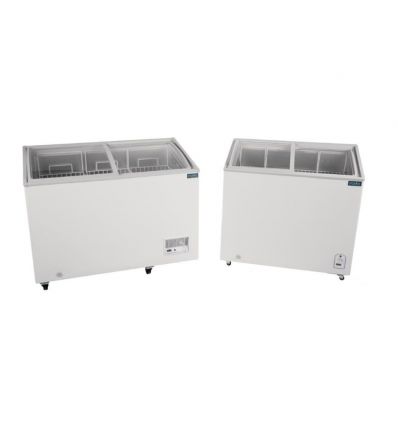 Congélateur à glace professionnel