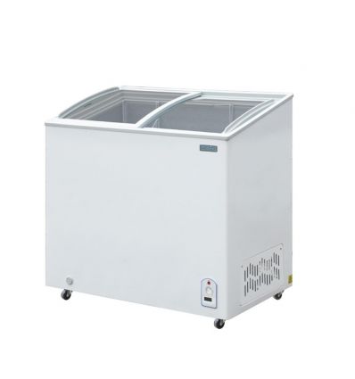 Congélateur à glace professionnel