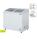 Congélateur à glace professionnel