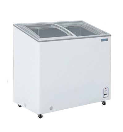 Congélateur à glace professionnel