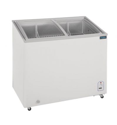 Congélateur à glace professionnel