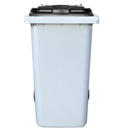 Conteneur Poubelle 240 litres