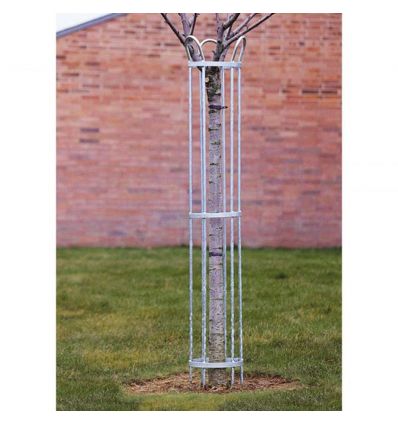Corset Métallique pour Arbre