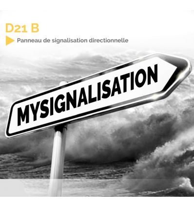 D21B - Panneau de signalisation directionnelle