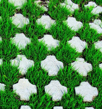 Dalle engazonnable carrossable Lot de 10