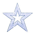 Étoiles lumineuses de noël professionnelles