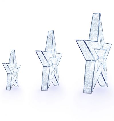 Étoiles lumineuses de noël professionnelles