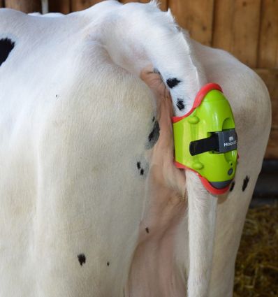 Detecteur de Velage