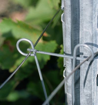 Ecarteur Vigne (lot de 100)