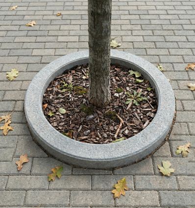 Entourage d'Arbre en Béton Rond