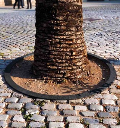Entourage d’arbre rond en fonte