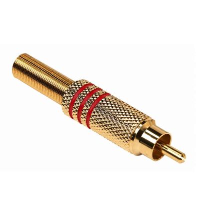 Fiche rca male