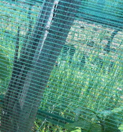 Filet anti grele pour vigne