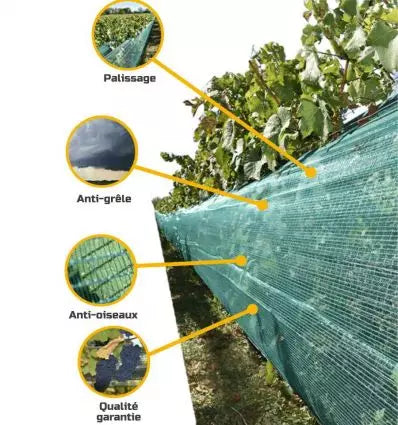 Filet anti grele pour vigne