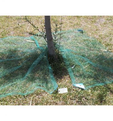 Filet de récolte pour arbre fruitier