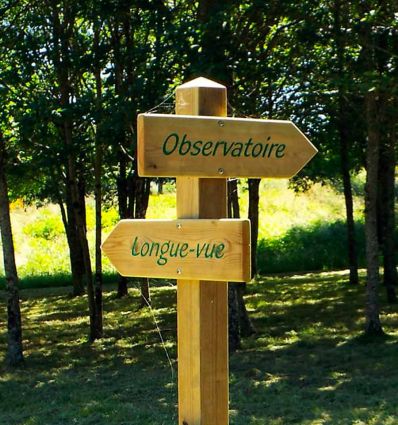 Flèche Signalétique Bois