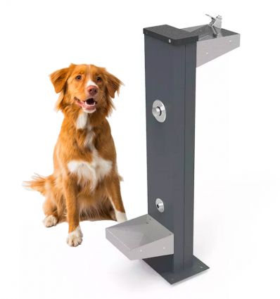 Fontaine Urbaine adaptée Animaux