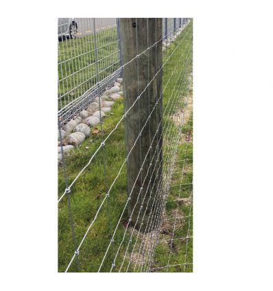 Grillage Sanglier à Noeud Fixe en X
