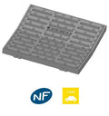 Grille concave en fonte pour regard C250