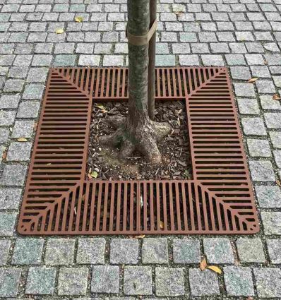 Grille d'arbre carré en acier - Silaos