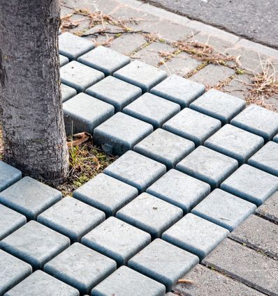 Grille d'arbre écologique