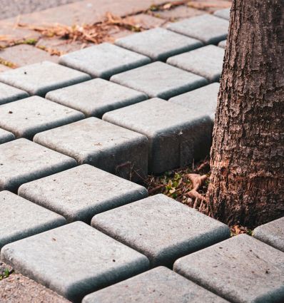 Grille d'arbre écologique