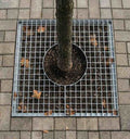 Grille d'arbre en acier galvanisé éco