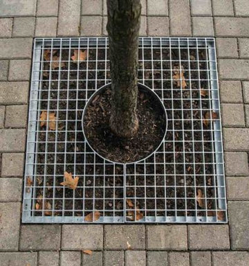 Grille d'arbre en acier galvanisé éco