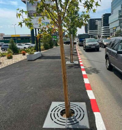 Grille d'arbre en fonte carré normée PMR