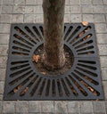 Grille d'arbre en fonte - Cuadrado