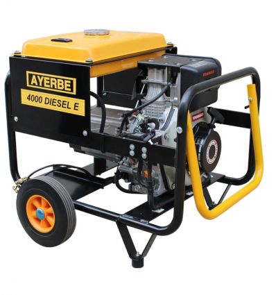 Groupe electrogene diesel 4000w​