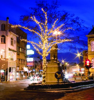 Guirlande lumineuse extérieur noël professionnel