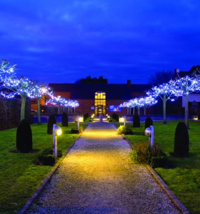 Guirlande lumineuse extérieur noël professionnel