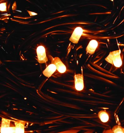 Guirlande lumineuse extérieur noël professionnel