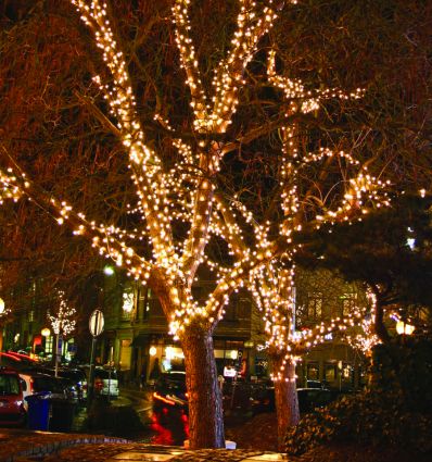 Guirlande lumineuse extérieur noël professionnel