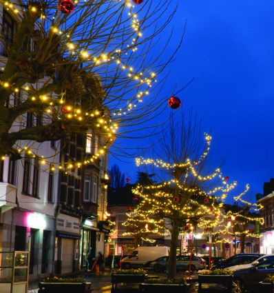 Guirlande lumineuse extérieur noël professionnel