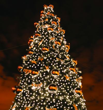 Guirlande lumineuse extérieur noël professionnel