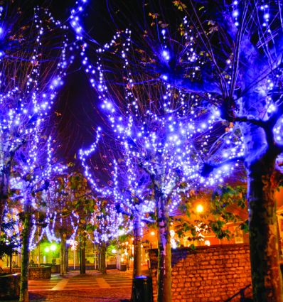 Guirlande lumineuse extérieur noël professionnel