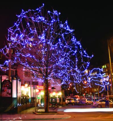 Guirlande lumineuse extérieur noël professionnel