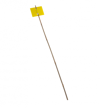 Jalon en bois agricole (lot de 100)