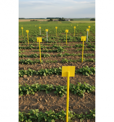 Jalon plastique agricole (lot de 100)